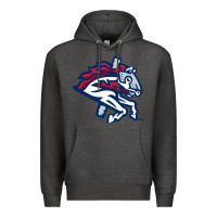 Charcoal Heather the-binghamton-rumble-ponies-pen Premium Hoodie - linhVisuals