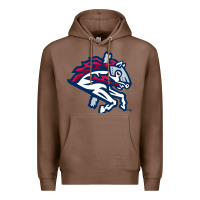 Chestnut the-binghamton-rumble-ponies-pen Premium Hoodie - linhVisuals