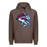 Coffee the-binghamton-rumble-ponies-pen Premium Hoodie - linhVisuals