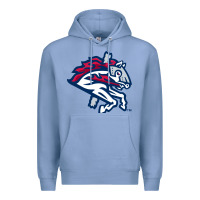 Colony Blue the-binghamton-rumble-ponies-pen Premium Hoodie - linhVisuals
