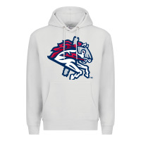 Dove Grey the-binghamton-rumble-ponies-pen Premium Hoodie - linhVisuals