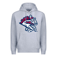Heather Grey the-binghamton-rumble-ponies-pen Premium Hoodie - linhVisuals