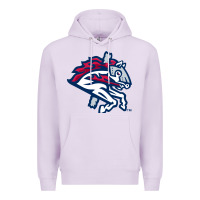 Lilac the-binghamton-rumble-ponies-pen Premium Hoodie - linhVisuals