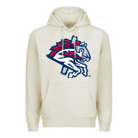 Oatmeal Heather the-binghamton-rumble-ponies-pen Premium Hoodie - linhVisuals
