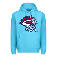 Ocean Blue the-binghamton-rumble-ponies-pen Premium Hoodie - linhVisuals