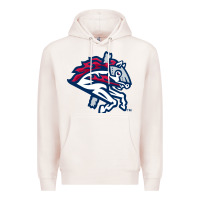Pale Pink the-binghamton-rumble-ponies-pen Premium Hoodie - linhVisuals