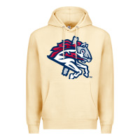 Pina Colada the-binghamton-rumble-ponies-pen Premium Hoodie - linhVisuals