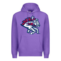 Purple the-binghamton-rumble-ponies-pen Premium Hoodie - linhVisuals