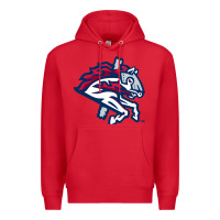 Red the-binghamton-rumble-ponies-pen Premium Hoodie - linhVisuals