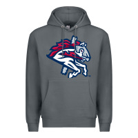 Rock the-binghamton-rumble-ponies-pen Premium Hoodie - linhVisuals