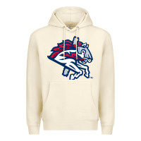 Sandshell the-binghamton-rumble-ponies-pen Premium Hoodie - linhVisuals