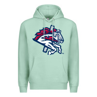 Seafoam the-binghamton-rumble-ponies-pen Premium Hoodie - linhVisuals