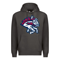 Smoke the-binghamton-rumble-ponies-pen Premium Hoodie - linhVisuals