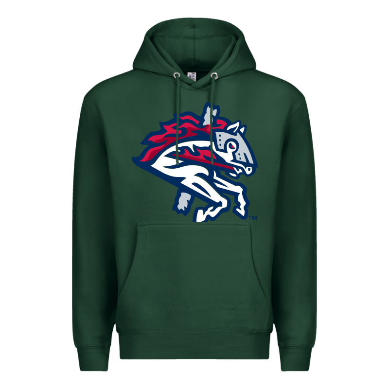 The-binghamton-rumble-ponies-pen Premium Hoodie by linhVisuals | Teevron