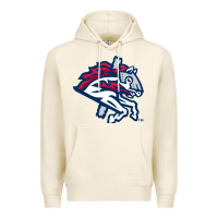 Tofu the-binghamton-rumble-ponies-pen Premium Hoodie - linhVisuals