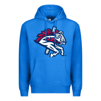 True Royal the-binghamton-rumble-ponies-pen Premium Hoodie - linhVisuals