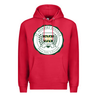 Cardinal st. norbert college Premium Hoodie - linhVisuals