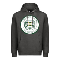 Charcoal Heather st. norbert college Premium Hoodie - linhVisuals