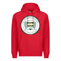 Red st. norbert college Premium Hoodie - linhVisuals