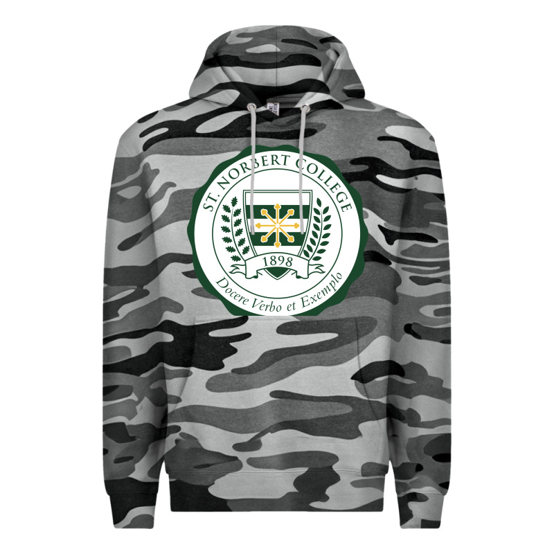St. Norbert College Premium Hoodie by linhVisuals | Teevron