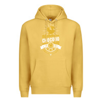 Antique Gold chocobo Premium Hoodie - linhVisuals