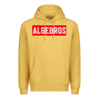 Antique Gold algebros design for math students or a present to ur teacher Premium Hoodie - linhVisuals