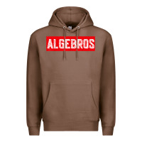 Chestnut algebros design for math students or a present to ur teacher Premium Hoodie - linhVisuals