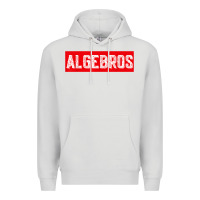 Dove Grey algebros design for math students or a present to ur teacher Premium Hoodie - linhVisuals