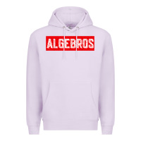 Lilac algebros design for math students or a present to ur teacher Premium Hoodie - linhVisuals