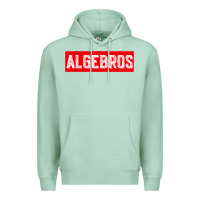 Seafoam algebros design for math students or a present to ur teacher Premium Hoodie - linhVisuals