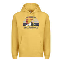 Antique Gold breckenridge colorado x co flag mountain peak raglan baseball tee Premium Hoodie - linhVisuals