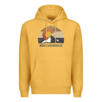 Mustard breckenridge colorado x co flag mountain peak raglan baseball tee Premium Hoodie - linhVisuals