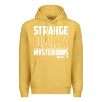 Antique Gold mrballen merch mr ballen Premium Hoodie - linhVisuals