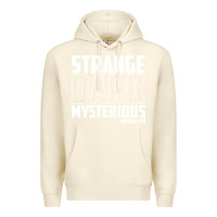 Sandshell mrballen merch mr ballen Premium Hoodie - linhVisuals