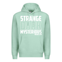 Seafoam mrballen merch mr ballen Premium Hoodie - linhVisuals