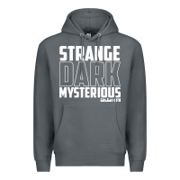 Rock mrballen merch mr ballen Premium Hoodie - linhVisuals