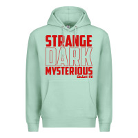 Mrballen Merch Mr Ballen Premium Hoodie | Teevron