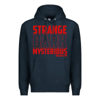 Navy mrballen merch mr ballen Premium Hoodie - linhVisuals