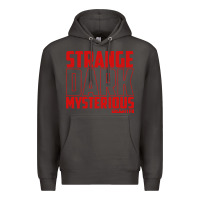 Smoke mrballen merch mr ballen Premium Hoodie - linhVisuals