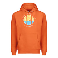Carrot cayman islands retro colorful ocean sunset palm tree novelty Premium Hoodie - linhVisuals