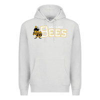 Dove Grey salt lake city bees Premium Hoodie - linhVisuals