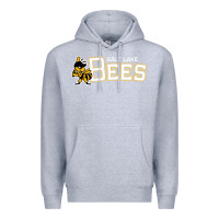 Heather Grey salt lake city bees Premium Hoodie - linhVisuals