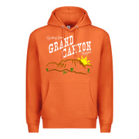 Carrot arizona grand canyon greetings souvenir tee shirt Premium Hoodie - linhVisuals