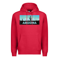 Cardinal arizona shirt   saguaro cactus desert landscape t shirt Premium Hoodie - linhVisuals