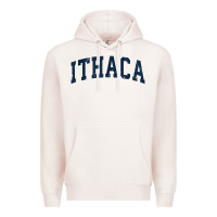 Pale Pink ithaca new york ny vintage sports design navy design t shirt Premium Hoodie - linhVisuals