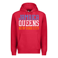 Cardinal jamaica queens new york ny t shirt Premium Hoodie - linhVisuals