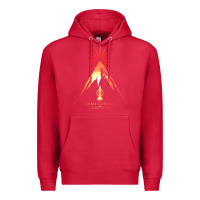 Cardinal album review  chris cornell   higher truth (2015)  dead end follies Premium Hoodie - linhVisuals