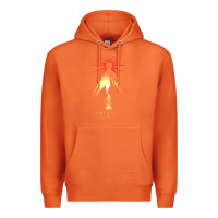 Carrot album review  chris cornell   higher truth (2015)  dead end follies Premium Hoodie - linhVisuals