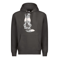 Smoke australian shepherd Premium Hoodie - linhVisuals