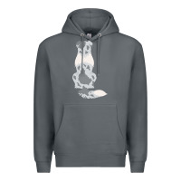 Rock australian shepherd Premium Hoodie - linhVisuals